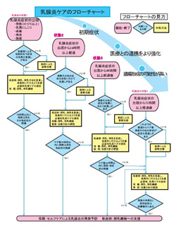 乳腺炎ケアのフローチャート